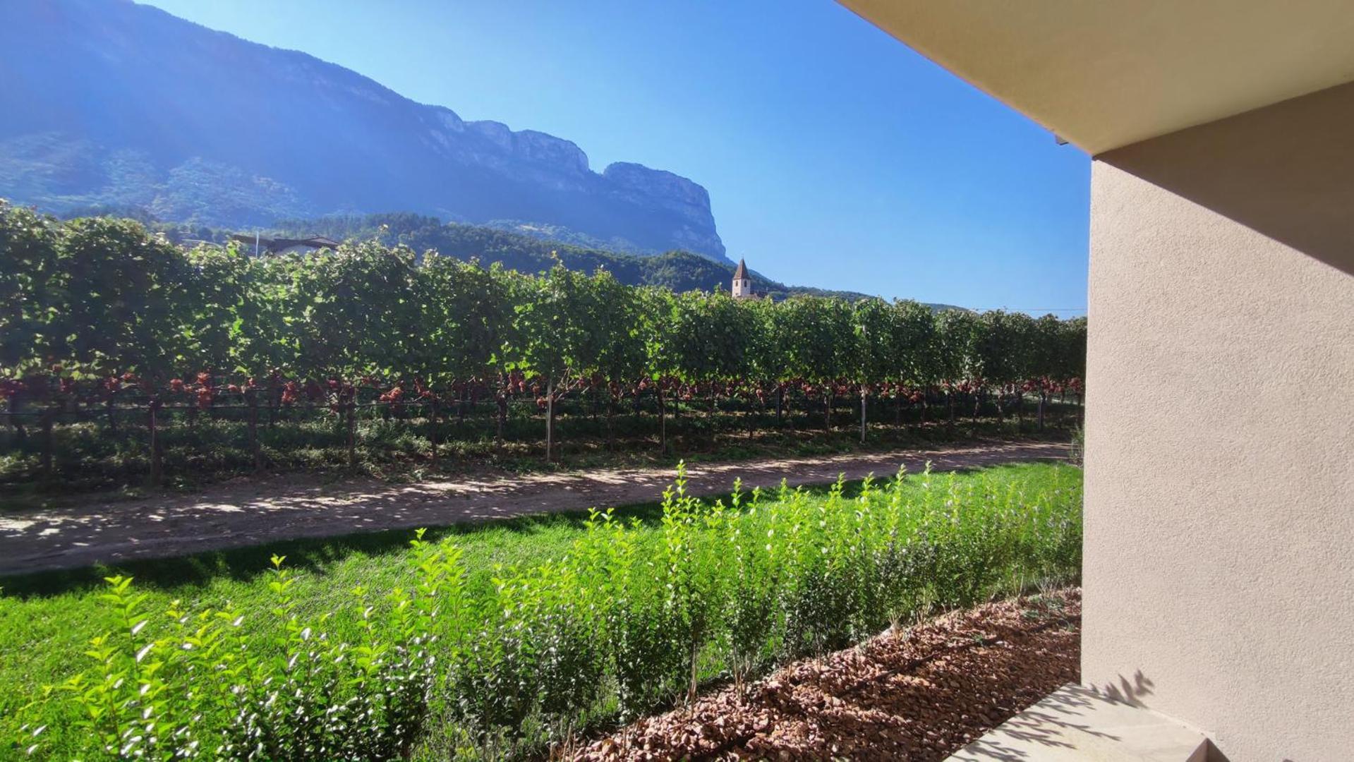 Highlight Apartments Appiano Sulla Strada Del Vino Chambre photo